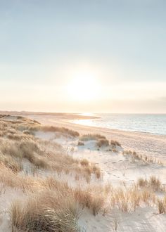 the sun is setting over the beach and sand dunes with grass growing on it,