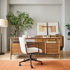 an office with a desk, chair and potted plant on the floor in front of it