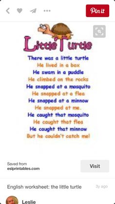 an image of a turtle poem