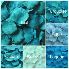 different shades of blue and white flowers with names in each color scheme, including teal, aqua, freeze, lagoon, turquoise