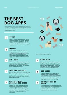 the best dog apps for dogs and their owners to use on their phone or tablet