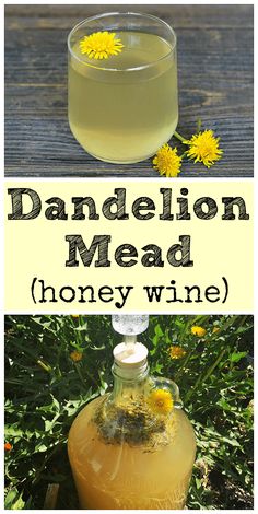 a bottle of dandelion mead sitting on top of a wooden table