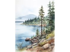 a watercolor painting of trees on the shore