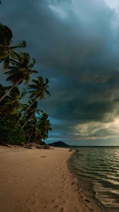 a beach with palm trees and water under a cloudy sky