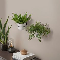 two potted plants sitting on top of a wooden table next to a wall mounted clock