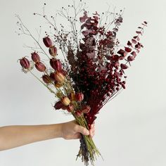 a person holding a bunch of dried flowers in their hand with white wall behind them