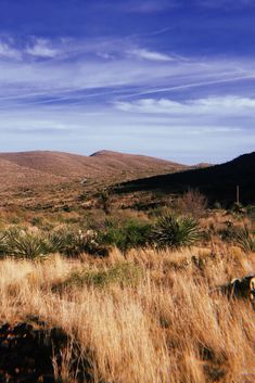 a grassy field with mountains in the background