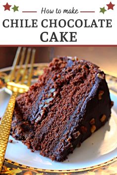 a piece of chocolate cake sitting on top of a white plate next to a fork