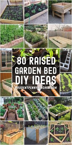 many different types of raised garden beds with text overlay that reads, 80 raised garden bed diy ideas