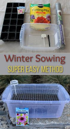 winter sowing method using plastic container and animal barrier Purple Perennials, Seed Starting Soil, Winter Sowing, Hardware Cloth, Native Flowers