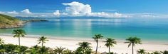 the beach is lined with palm trees and blue water