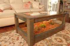 a living room with a couch, coffee table and small terrarium in the center