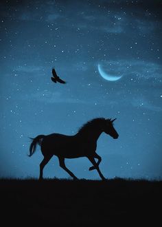 a horse is running in the grass at night with a bird flying above it and stars on the sky