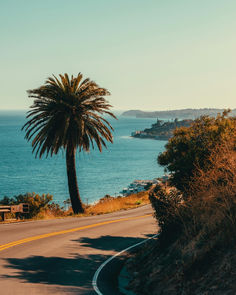 a palm tree sitting on the side of a road next to the ocean and mountains