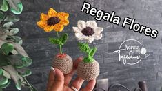 two crocheted flowers are being held in front of a brick wall with the words regal flores on it