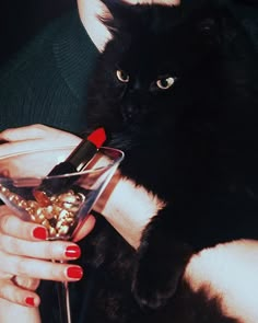 Crazy Cat Lady Aesthetic, Sultry Aesthetic, Black Cat Aesthetic, Bad Cats, Dark Feminine Aesthetic, Fb Covers, Ethereal Art, Cute Poses, To The End