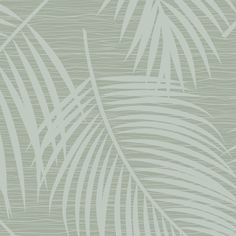 an image of a wallpaper with palm leaves in shades of grey and white on a light green background