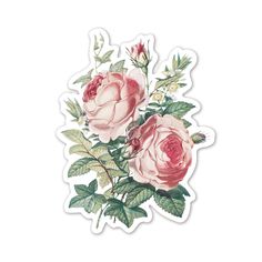 two pink roses with green leaves sticker on a white background for use as a decal or wallpaper