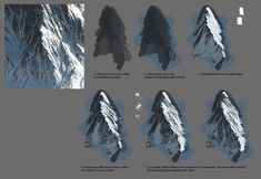 an image of different types of trees in the snow