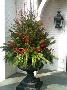 an image of a potted plant with red flowers