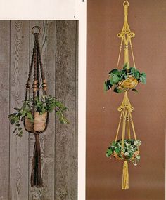 three hanging planters with plants in them and one has a bird on the top