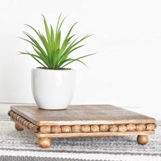 a potted plant sitting on top of a wooden table