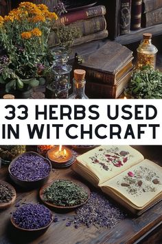 Unlock the secrets of witchcraft herbs in our latest article! Discover the witchcraft meaning of poppies, marjoram, and other powerful herbs. Explore different types of herbs used in Wicca witchcraft and by the pagan witch for enhancing fertility, healing spells, and protection. This beginner's guide includes a meanings list for herbs and spices that promote health, luck, money, love, and peace. Transform your kitchen into a space for magical growth! Wiccan Herbs And Meanings, Kitchen Witch Correspondences, Kitchen Witch Ingredient Meanings, Witchcraft Herbs Meanings List, Herbs Spiritual Meaning, Witchy Herbs And Meanings, Fertility Herbs Witchcraft, Witch Herbs And Their Uses, Witchy Hobbies