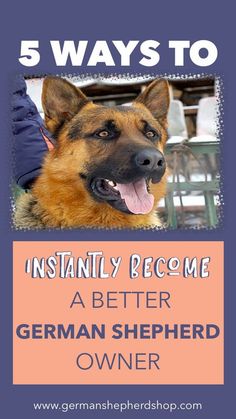 the german shepherd owner's guide to 5 ways to become a better german shepherd owner