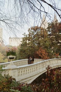 two people standing on a bridge in the park