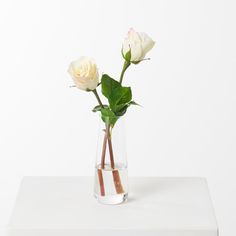 two white roses in a clear vase with water on the bottom and green leaves sticking out of it