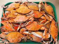 a pile of crabs sitting on top of a green tray