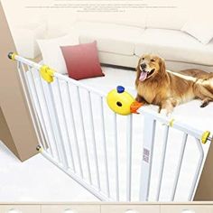 a dog sitting on top of a baby gate