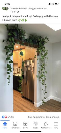 a refrigerator with plants growing on it in a kitchen