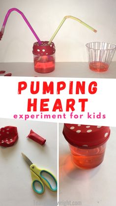 Text: Pumping Heart experiment for kids. Top picture: Heart model from two cups, straws, and balloons. Bottom left picture: scissors cutting balloon for model. Bottom right picture: jar with red water inside and balloon covering top Healthy Body Craft, Heart Health Month Activities For Kids, Healthy Heart Art Preschool, All About Our Bodies Preschool, Lungs Preschool Activities, Human Body Steam Activities, Anatomy Crafts For Preschool, Pre K Human Body Activities, Healthy Bodies Prek Activities