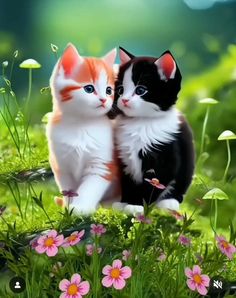 two cats sitting next to each other on top of a lush green field with flowers