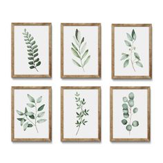 four framed paintings with green leaves on them