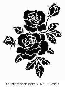 black and white roses with leaves on a white background stock photo, royalty - free image