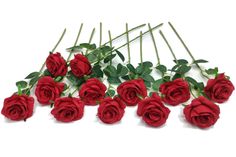 a bunch of red roses with green leaves on the top and bottom, arranged in a row