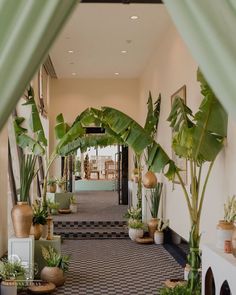 a hallway with plants and potted plants on the floor