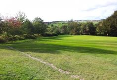 an open field with trees and grass in the background