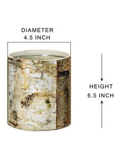 an image of a tree stump with measurements for the top and bottom section, including 4 5 inches high