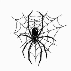 a black and white drawing of a spider with the word forbidden on it's back