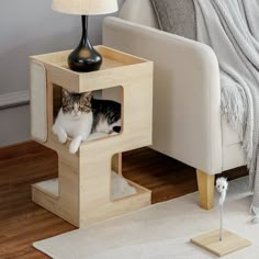 a cat sitting on top of a wooden shelf in a living room next to a lamp