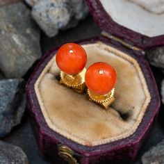 These gorgeous stud earrings are crafted of 14k yellow gold and feature coral beads. The earrings are fitted with friction backs for pierced ears. Elegant Coral Earrings For Formal Occasion, 14k Yellow Gold Round Bead Earrings, 14k Yellow Gold Earrings With Round Beads, Classic Orange Earrings For Formal Occasions, Formal Coral Jewelry With Matching Earrings, Coral Jewelry Set With Matching Earrings For Formal Events, Coral Jewelry Set, Brand Presentation, Coral Jewelry