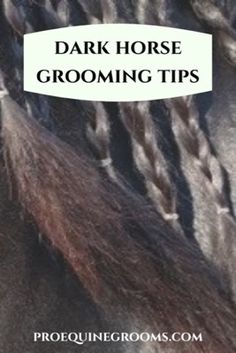 Discover the ultimate grooming tip for dark horses! Uncover the secrets to achieving a radiant shine that's sure to turn heads. #GroomingTips #DarkHorseShine #majestichorse #prettyhorses #equestrian