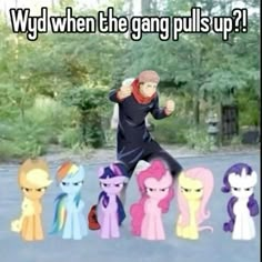 a man standing in front of a group of pony ponies with the caption why when the gang pulls up?