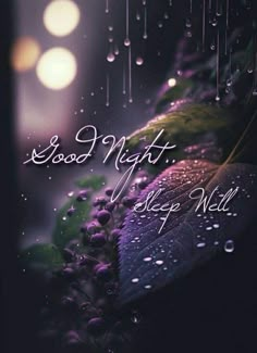 the words good night sleep and rain are displayed in front of an image of purple flowers