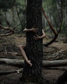 a woman is hiding behind a tree in the woods with her hands on it's face