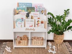 there is a book shelf with books and stuffed animals on it next to a potted plant