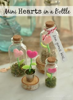 mini hearts in a bottle with moss and flowers on the top, along with a sign that says i love you